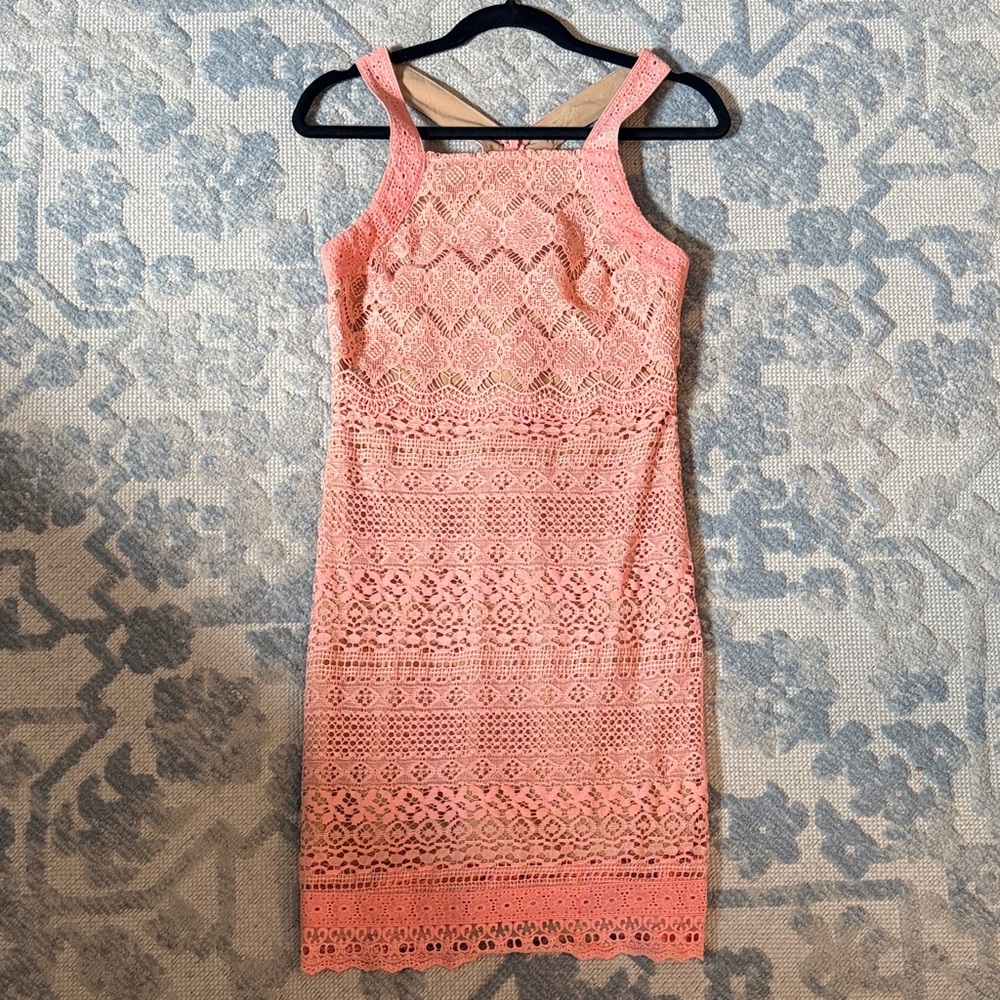 Ladakh Lined Pink Lace Dress